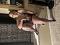 Sensualtaste's Avatar