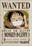Monkey D. Luffy's Avatar